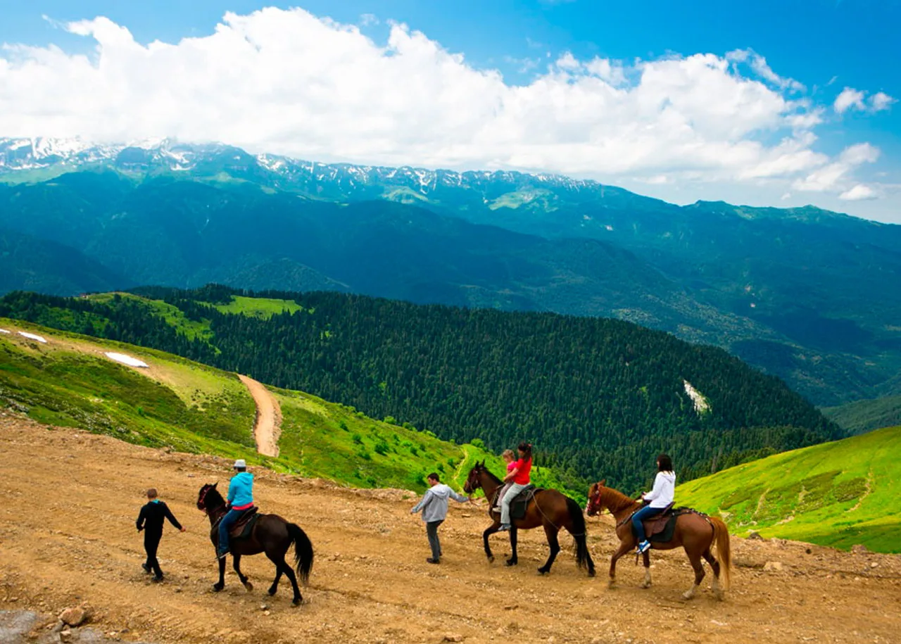 Horse Riding