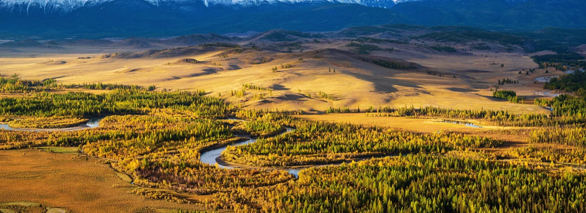 Altai