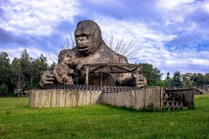 Большая Руандийская Экспедиция: Культура, Сафари и Экстрим – KGLKGL251202